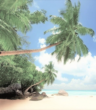 CHS_wallpaper_big (2)